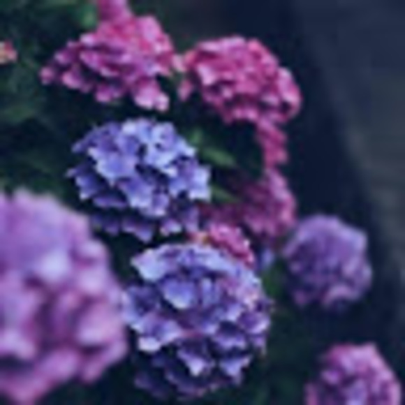 lex052080